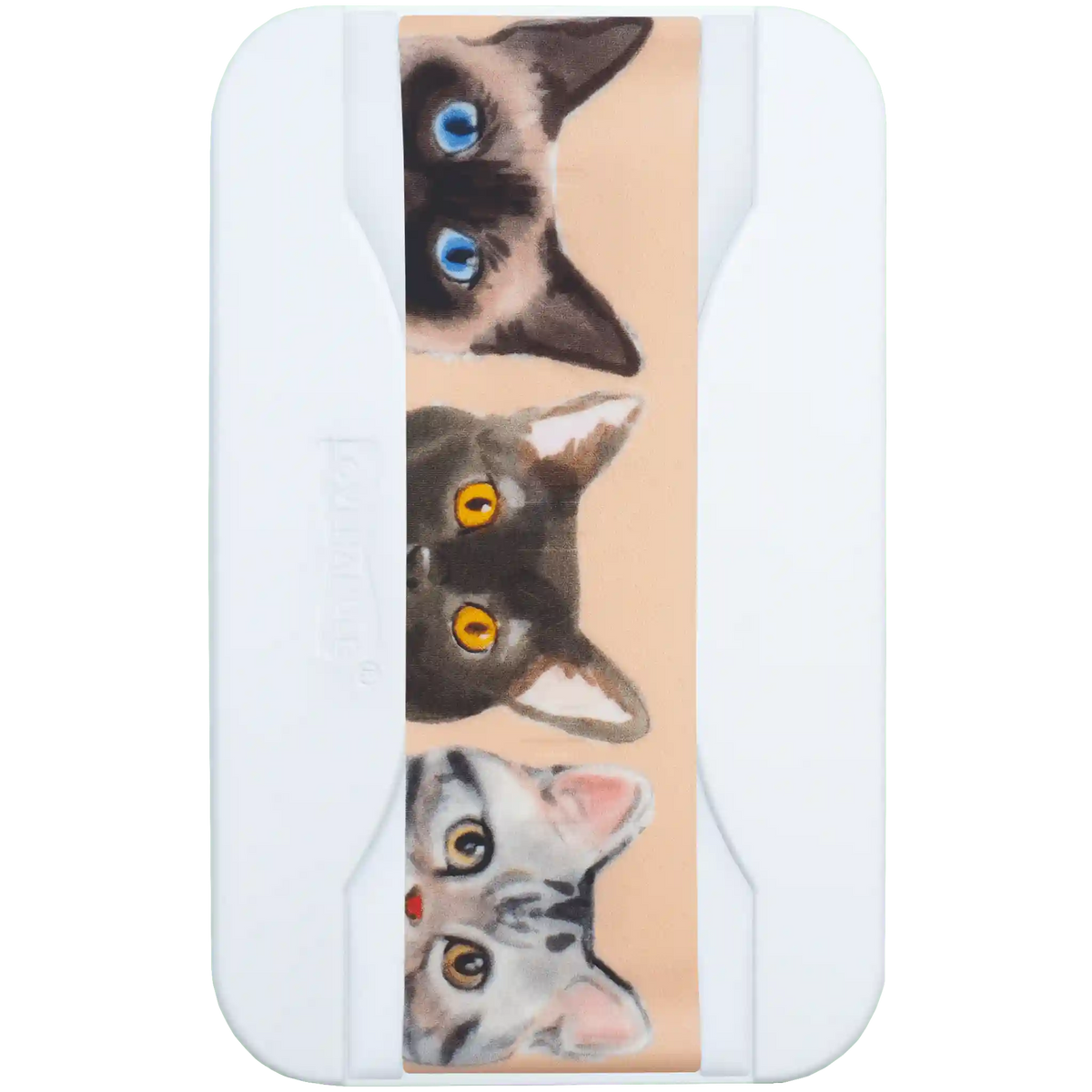 PRO for MagSafe - Curious Cats