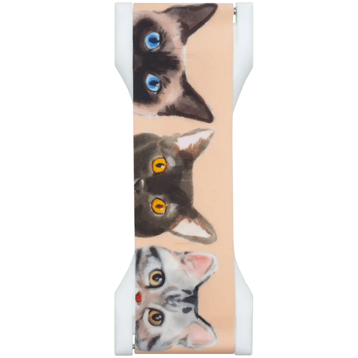 PRO - Curious Cats